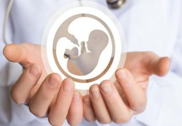 کابوس ناباروری در خراسان شمالی شکسته شد