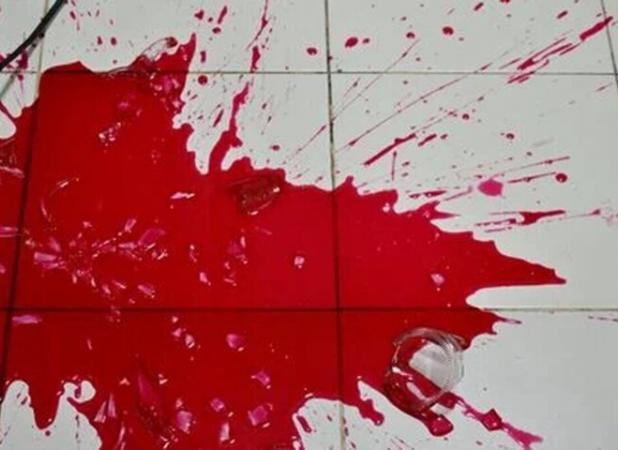 ملکی پویا: کشف قتل و دستگیری سه قاتل در وفس