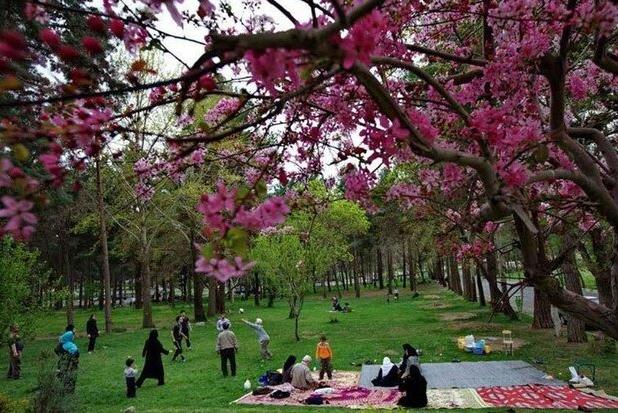 گذراندن «روز طبیعت»در سایه سار درختان و نسیم رودها