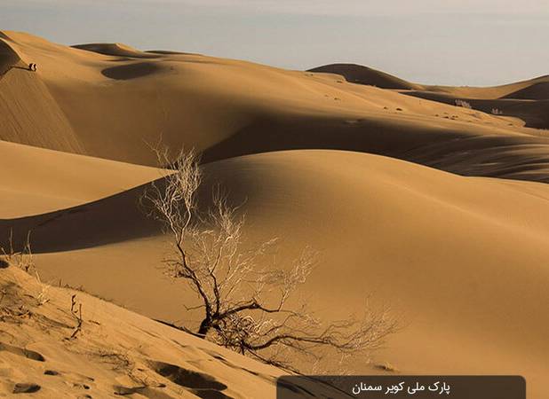 ساخت مالچ پلیمری زیست‌سازگار برای جلوگیری از ایجاد ریزگرد