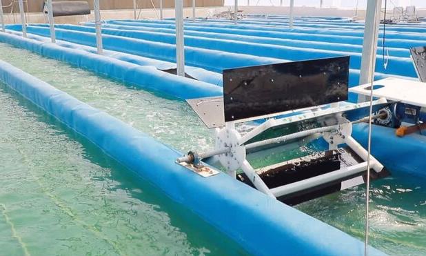 صنعت نوظهوری که می‌تواند امنیت غذایی کشور را تضمین کند