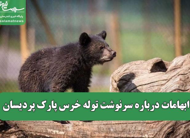 ابهامات درباره سرنوشت توله خرس پارک پردیسان