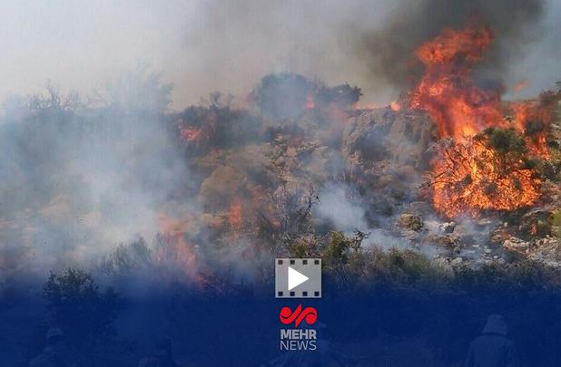 قلعه نویی میثاقی را با فردوسی‌پور اشتباه گرفت