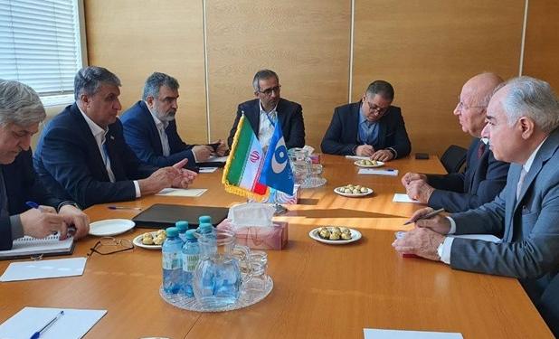 رایزنی اسلامی با نمایندگان پاکستان در وین