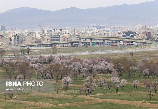 نقش باغستان سنتی در تلطیف هوای قزوین