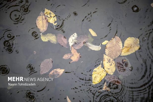 سامانه بارشی جدید وارد اصفهان می‌شود/ تداوم بارش‌ها تا ۲۶ آذر