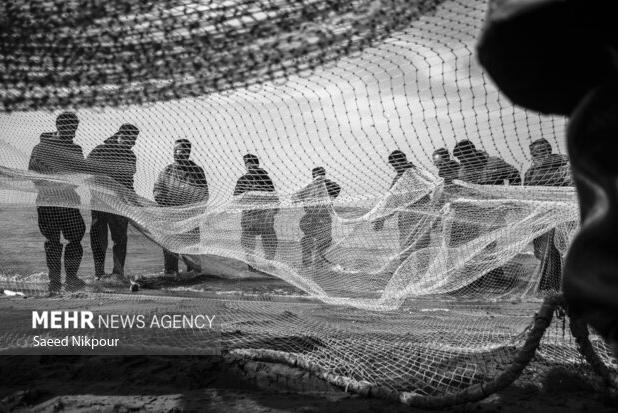 دریابست از ۲۲ لغایت ۳۱ اردیبهشت در آب‌های هرمزگان اعمال می‌شود