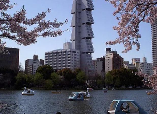 معماری «درخت زندگی» که فقط ۱۲ سال دوام آورد