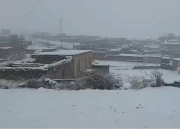 تصاویری از بارش برف در تکاب و سلماس