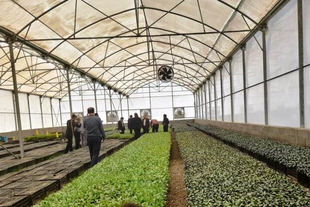 تمدید مهلت اخذ کد QR برای محصولات گلخانه‌ای