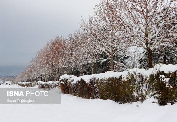 آغاز بارش باران و برف از ۱۴ بهمن در استان زنجان