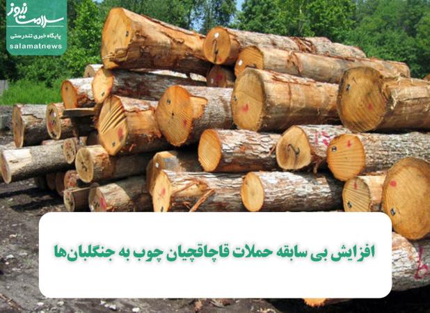 افزایش بی سابقه حملات قاچاقچیان چوب به جنگلبان‌ها