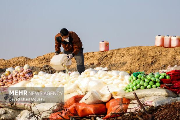 امحای ۲۰ تن انواع مواد مخدر توسط پلیس تهران
