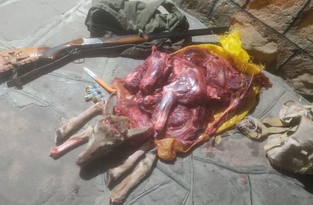 دستگیری ۳ شکارچی در پارک ملی صیدوا؛ قوچ وحشی شکار شد