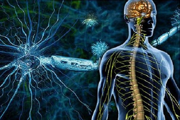 سلول درمانی بیماران ALS یک فریب تبلیغاتی است