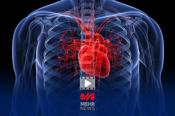 تفاوت مهم بیماری قلبی در آقایان و بانوان