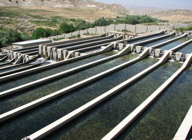 نقش هوش مصنوعی در بازیافت مؤثر پساب و فاضلاب