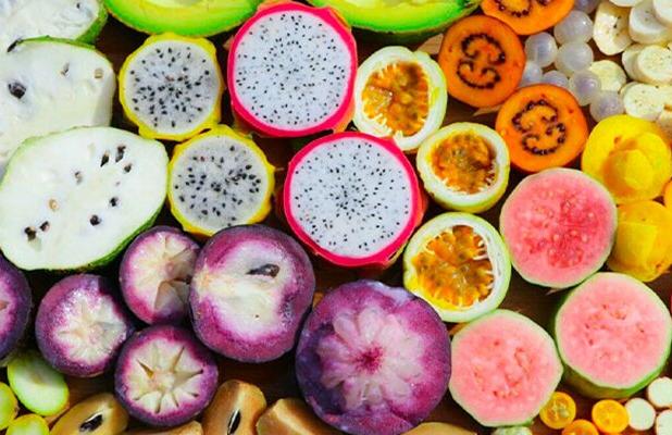 فارس پیشتاز در تولید میوه‌های گرمسیری و نیمه‌گرمسیری کشور است