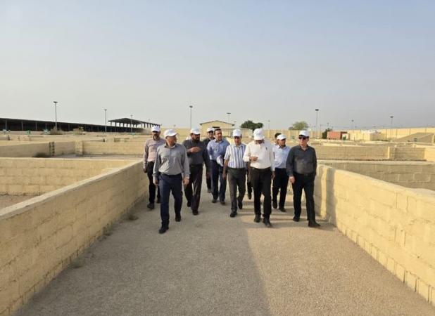 برنامه‌ریزی برای استفاده از قرنطینه دامی در دستور کار قرار دارد