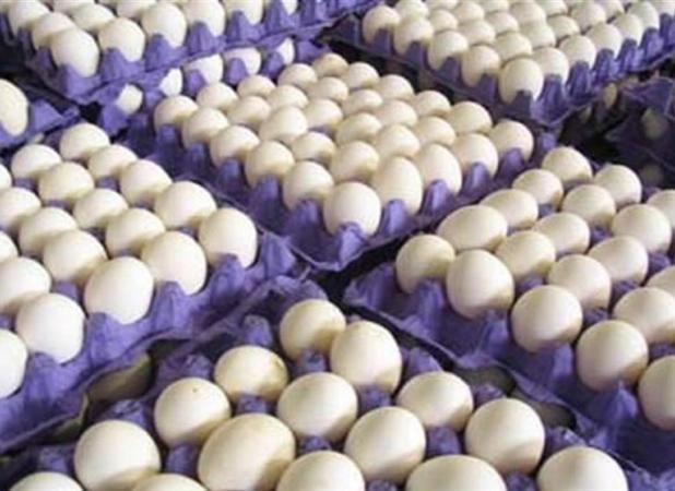 کاهش قیمت تخم‌مرغ در میادین میوه و تره‌بار