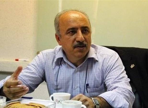دولت با اعمال تعرفه از صنایع نوپا حمایت کند