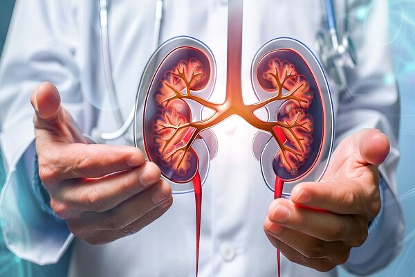 پیشگیری و شناخت به‎موقع کلید اصلی کنترل بیماری کلیوی است