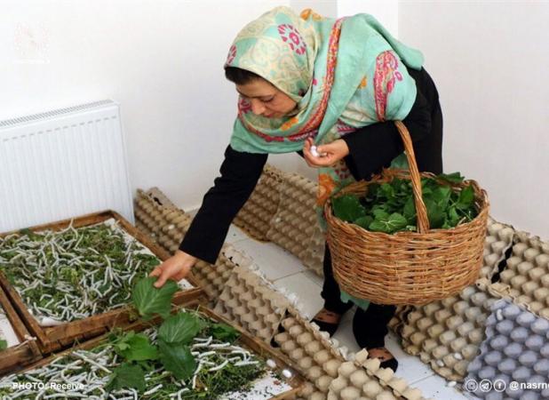 تبدیل مشاغل خانگی به مدل جدیدی از اشتغال پایدار