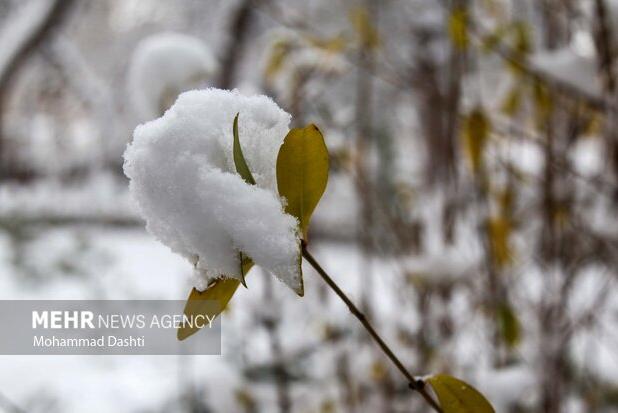 بارش شدید برف در نیشابور