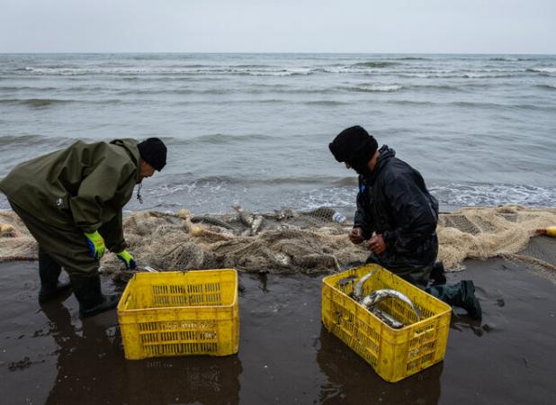 صیادی در تور مشکلات
