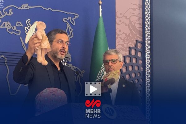 روایت آخرین بازمانده خانواده شهید صابر در نشست خبری وزارت خارجه