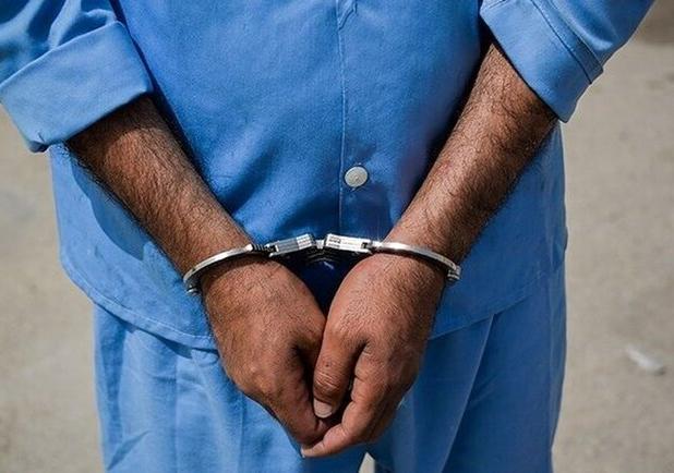 ۲۹ متهم تحت تعقیب در فلاورجان دشتگیر شدند