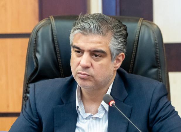 زندیه‌وکیلی: اجرای طرح یارانه خرید اقلام اساسی آغاز شد