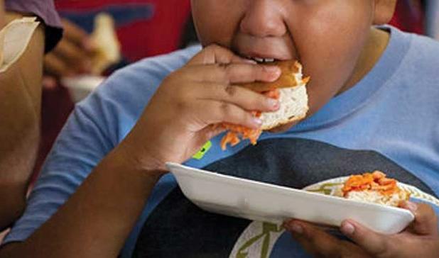 ۲۵ درصد دانش‌آموزان دشتی چاق هستند