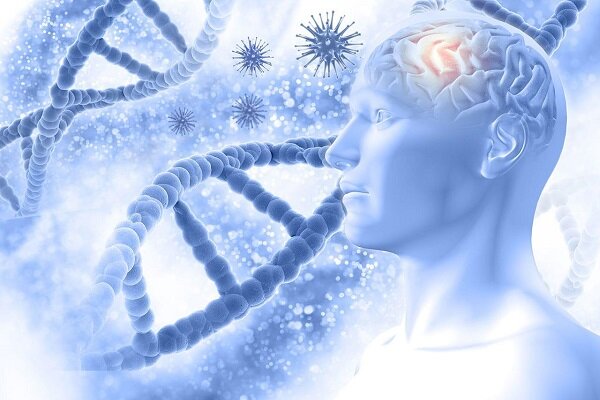 ابداع روش جدید برای شناسایی خطر ابتلا به پارکینسون و آلزایمر