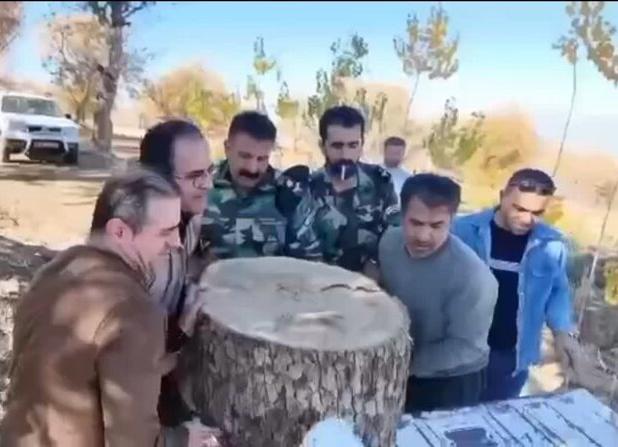 اجرای طرح ضربتی مبارزه با قاچاق چوب در بانه