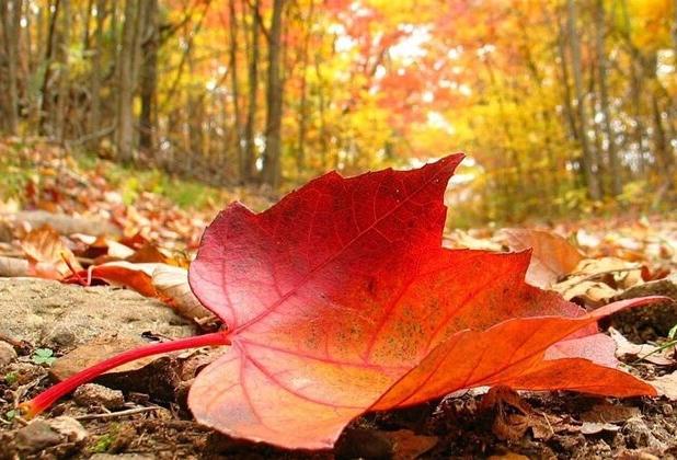 تداوم هوای نسبتا سرد صبحگاهی همدان در روزهای آینده