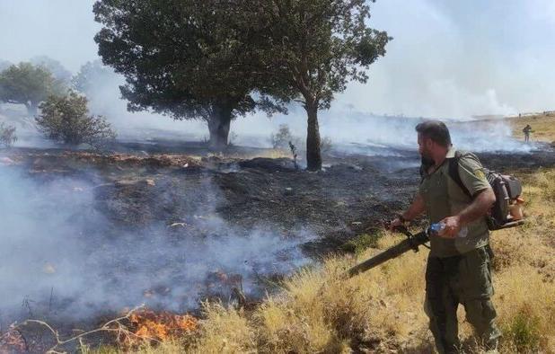 آتش‌سوزی مراتع جنگلی بخش گواور گیلانغرب دوباره شعله‌ور شد