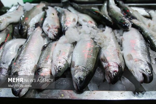 توقیف خودرو حامل ماهی قاچاق در ایست و بازرسی سیریک