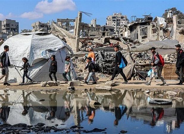 محمود بصل: طی ساعات آتی شاهد یک فاجعه در غزه خواهیم بود