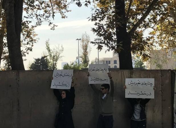 ماجرای یک تجمع علیه شهرداری در تجریش تهران