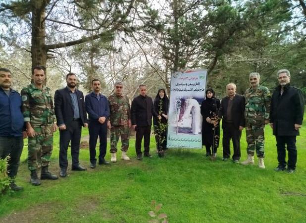 کاشت نهال گونه‌های جنگلی در بندرانزلی