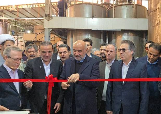 وزیر کار: تزریق تسهیلات بانکی فراتر از نیاز واحدهای تولیدی می‌تواند مشکلاتی ایجاد کند