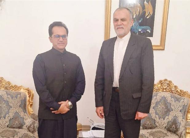 دیدار سفیر پاکستان با معاون اقتصادی وزارت خارجه
