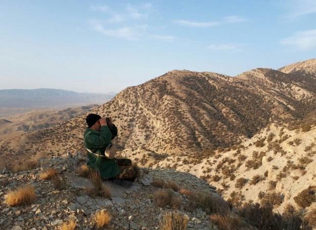 شکاریان: سرشماری پاییزه حیات‌وحش خراسان شمالی پایان یافت