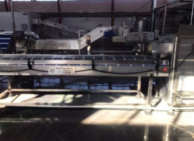 اولین کارخانه سیب‌زمینی نیمه‌آماده در سنقر وکلیایی به بهره‌برداری رسید