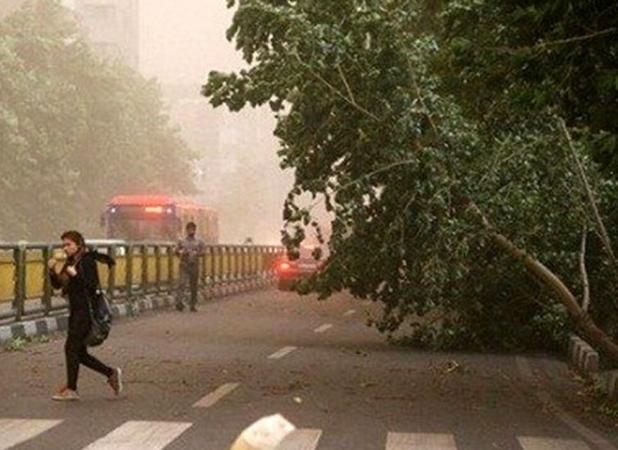 طوفان شب گذشته تهران ۷ مصدوم برجای گذاشت