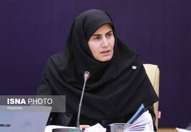 معاون استاندار زنجان: انرژی محور اصلی توسعه اقتصادی استان است