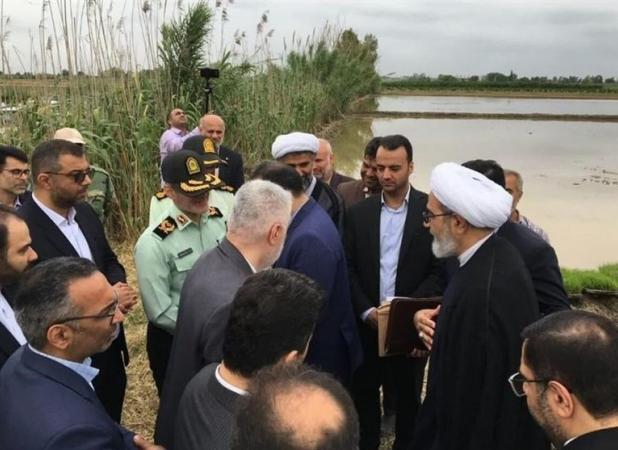 معاون قوه قضائیه‌: با دلالان در بازار برنج برخورد می‌کنیم