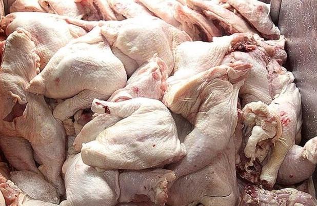 لزوم توسعه صادرات مرغ و تخم‌مرغ خراسان جنوبی به افغانستان