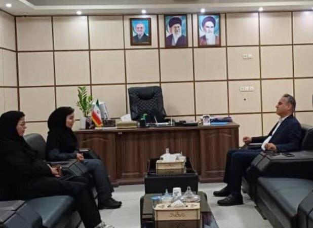 سمن‌ها بازوان دولت در مسائل اجتماعی هستند